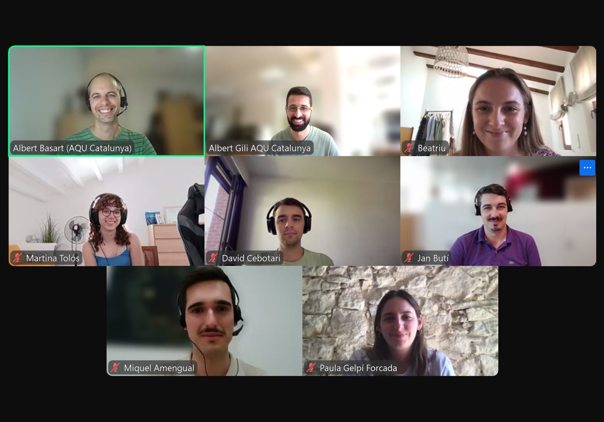 Foto de la reunió telemàtica del Comitè d'Estudiants celebrada al juliol del 2025